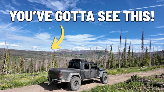 I Had No Idea How Incredible This Part of Colorado Is! Creede Colorado - Wheeler Geologic Area