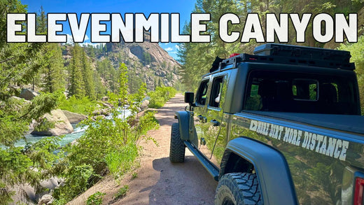 Exploring Eleven Mile Canyon: A Perfect Day Trip
